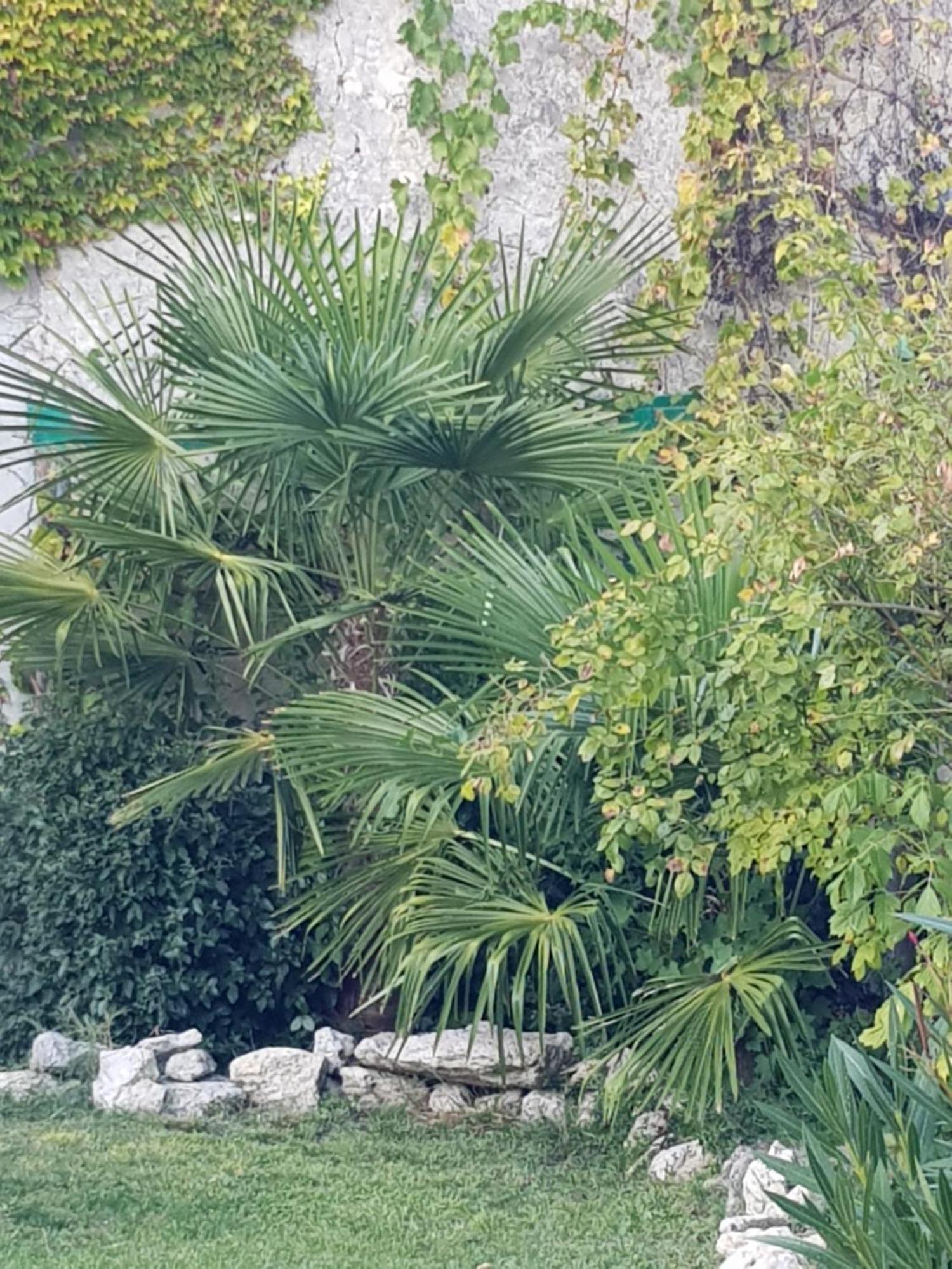 La Maison Malabar Villefranche-du-Queyran Екстер'єр фото